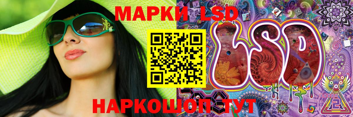 где можно купить   Вход с VPN  Новозыбков  Наркотические марки 1500мкг 