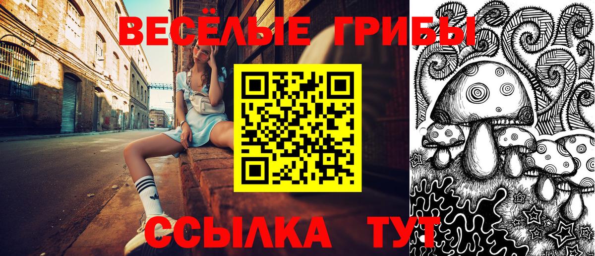 Псилоцибиновые грибы GOLDEN TEACHER Новозыбков