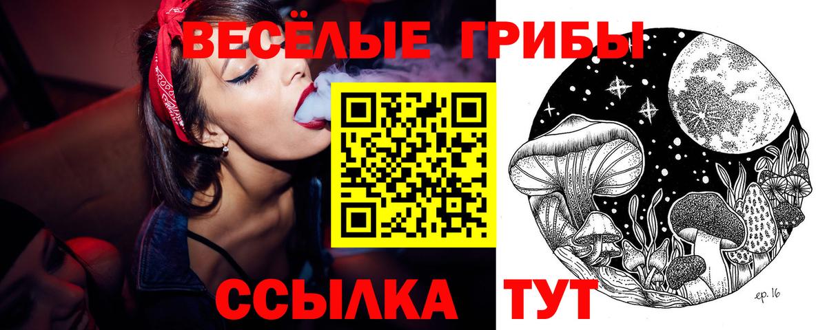 Новозыбков  Галлюциногенные грибы ЛСД  Псилоцибиновые грибы Psilocybe  Вход с VPN 